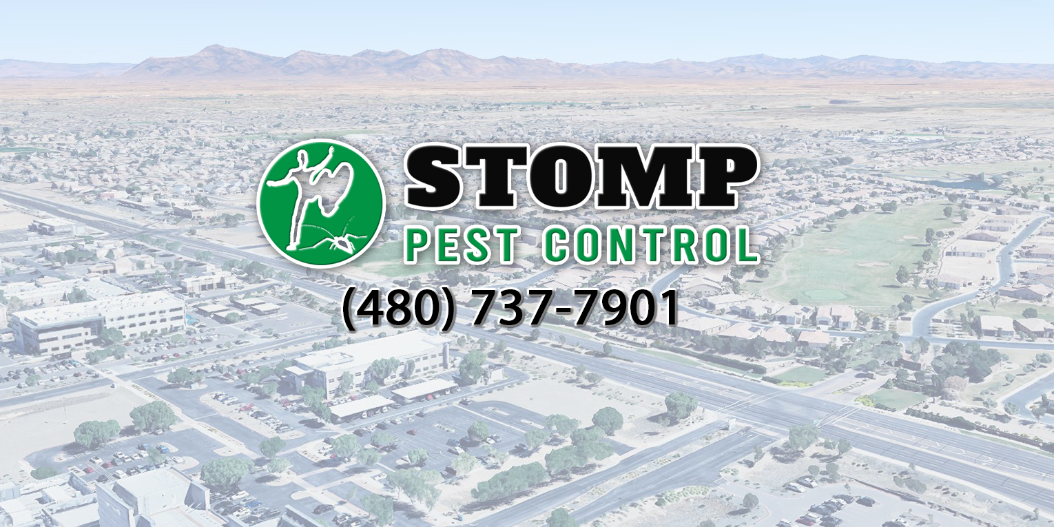 Stomp Pest Control